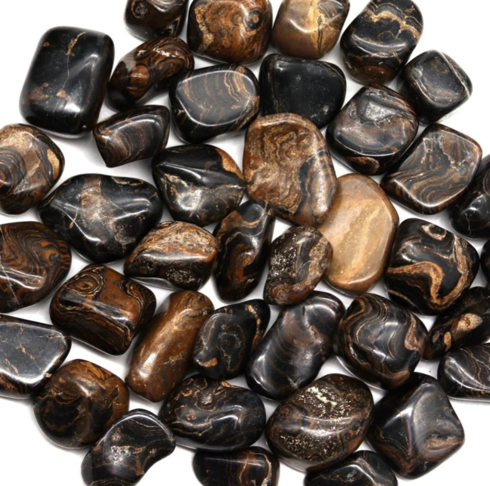 Tumbled Stromatolite