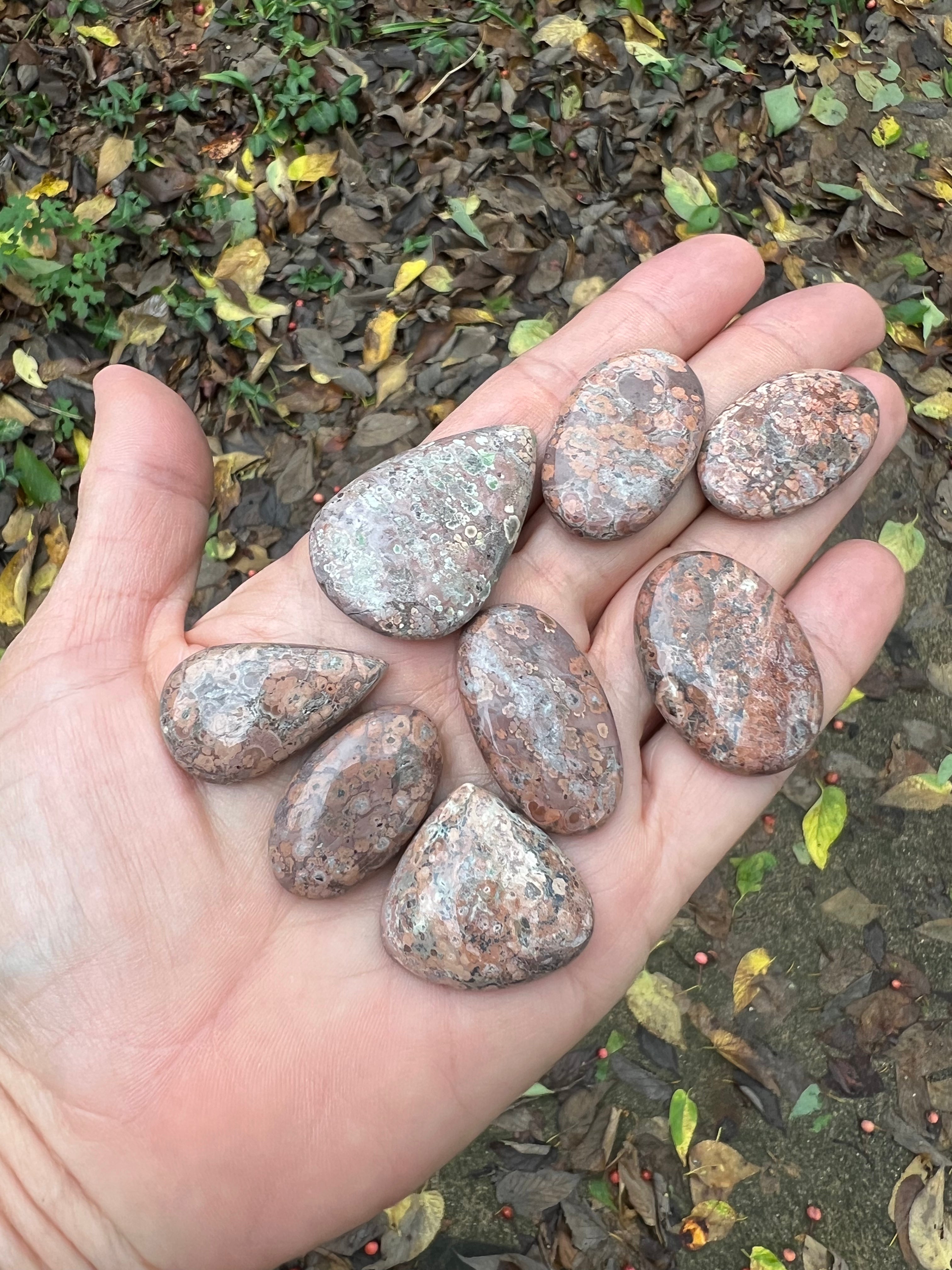 Leopard Jasper