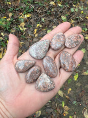 Leopard Jasper