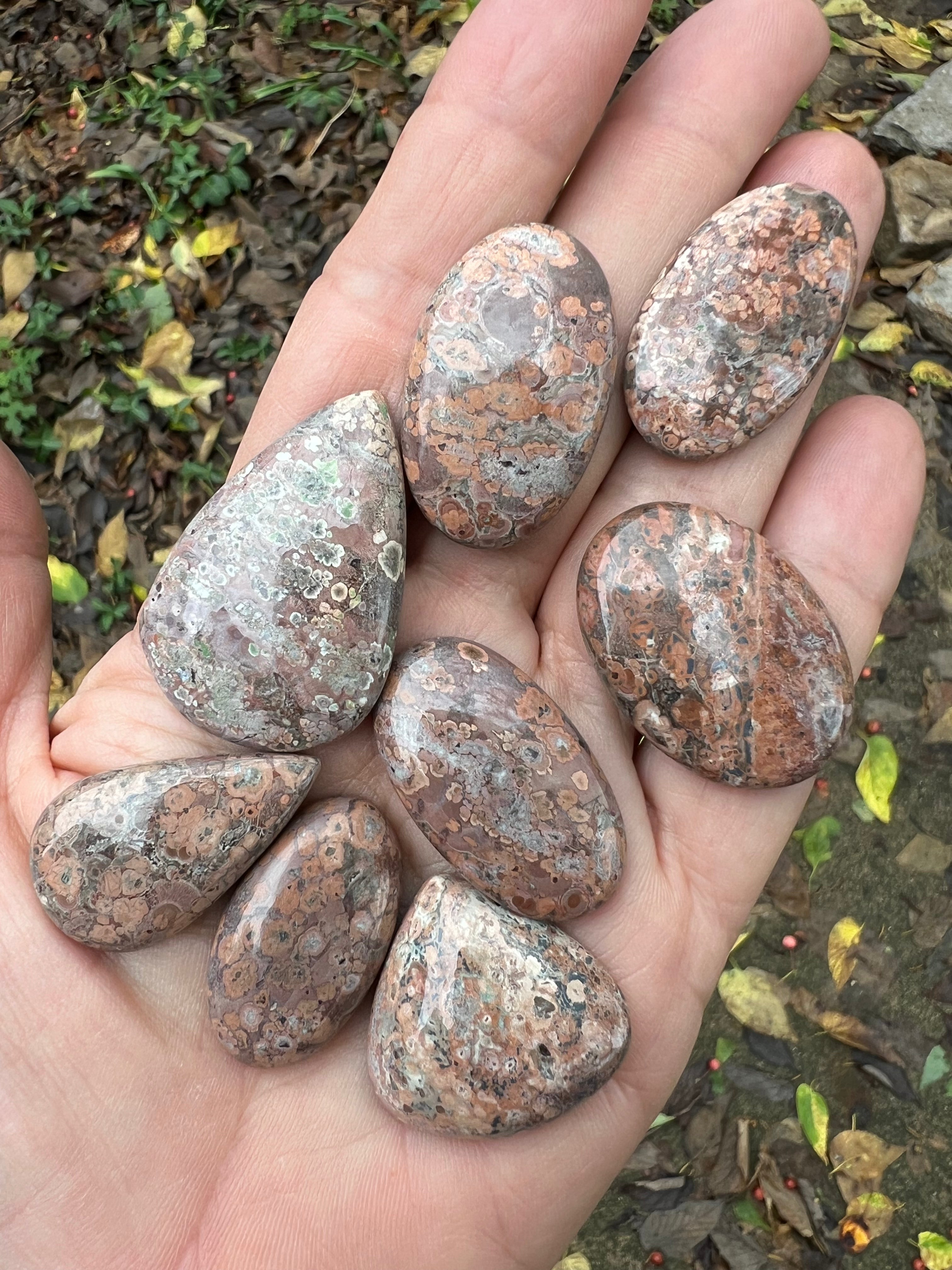 Leopard Jasper