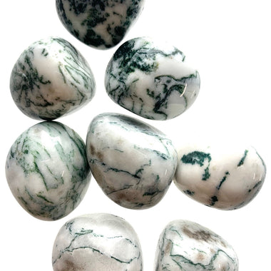 Tree Agate